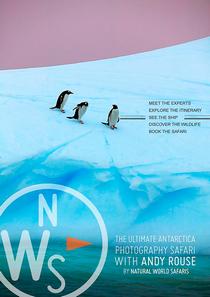 Natural World Safaris - Ultimate Antarctica Photography Safari with Andy Rouse