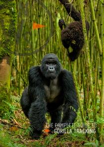 Natural World Safaris - The Completee Guide To Gorilla Tracking
