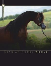 Arabian Horse World - November 2017