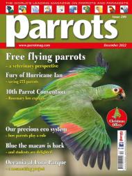 Parrots - December 2022