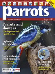 Parrots - January 2023