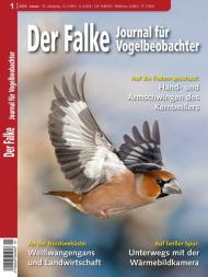 Der Falke Journal fur Vogelbeobachter - Januar 2023