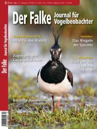 Der Falke Journal fur Vogelbeobachter - Marz 2024