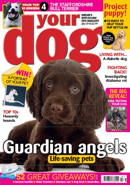 Your Dog – July 2018
