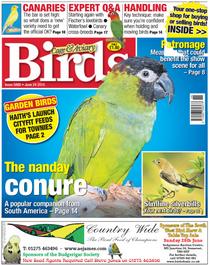 Cage & Aviary Birds - 24 June 2015