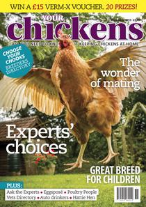 Your Chickens – November 2015