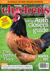 Your Chickens - December 2015