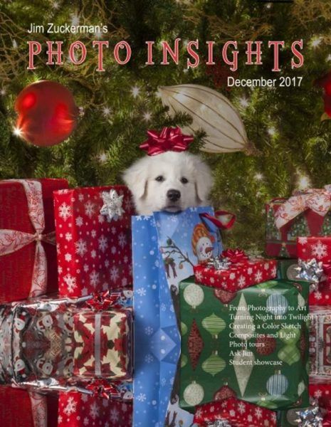 Photo Insights — December 2017