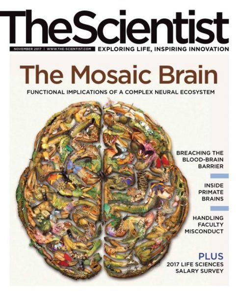 The Scientist — November 2017