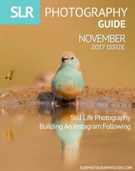 SLR Photography Guide — November 2017