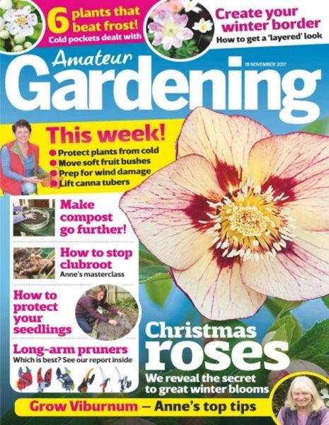 Amateur Gardening — 18 November 2017