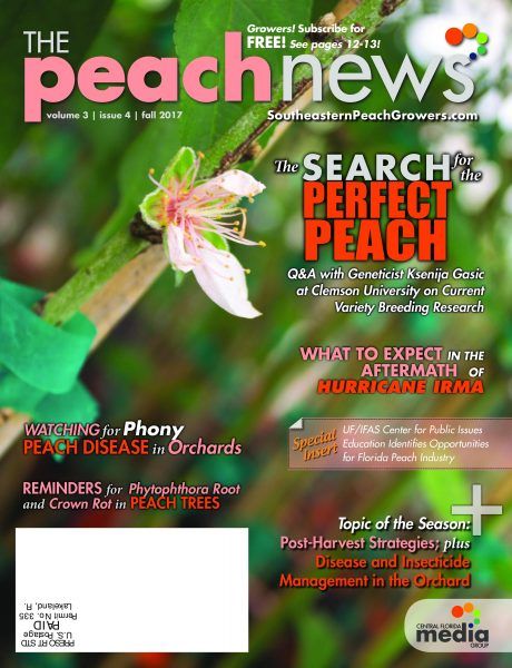 The Peach News — November 2017
